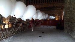 Vignette de Des ballons biodégradables au Château de Miniac Morvan en Ille et Vilaine